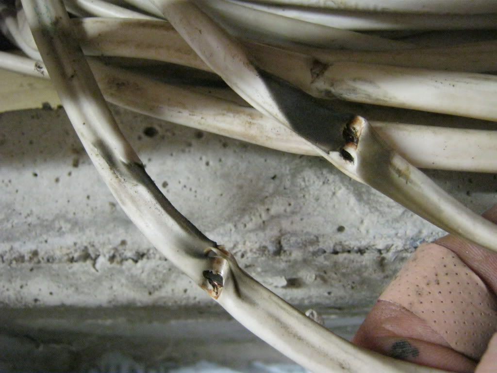 More bad wiring jobs... The Siren Board