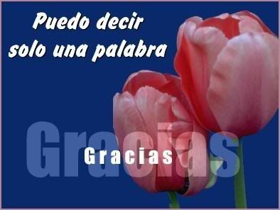 gracias.jpg picture by Imagenes_bucket