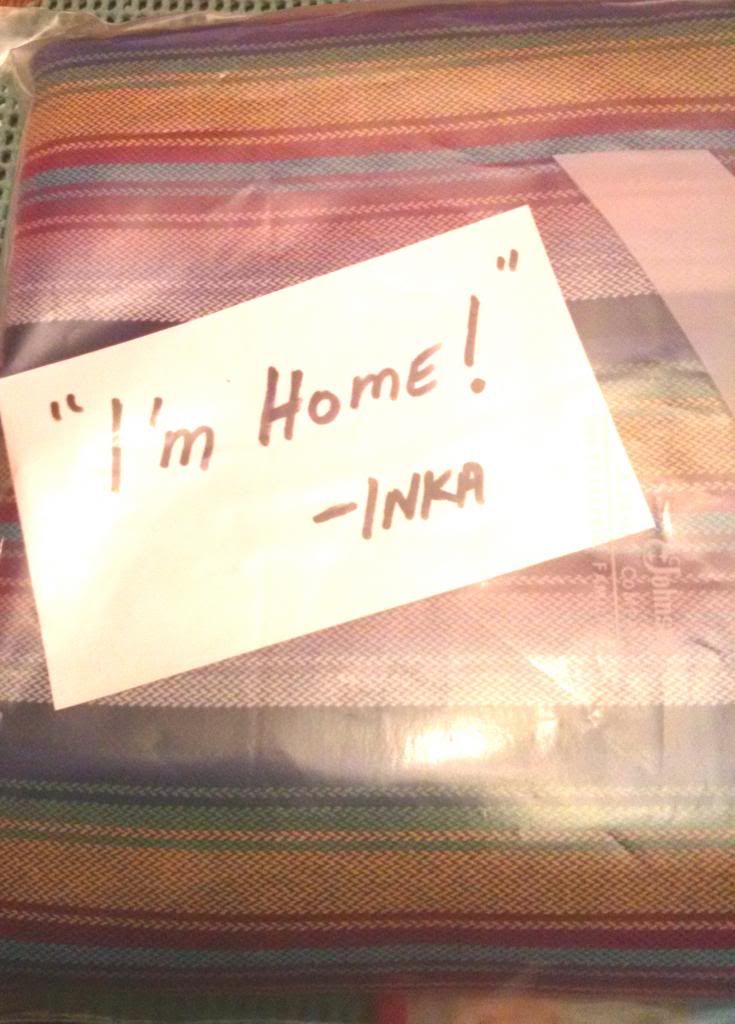 Inka Storch is home!