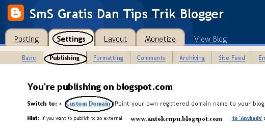 setting custom domain blog