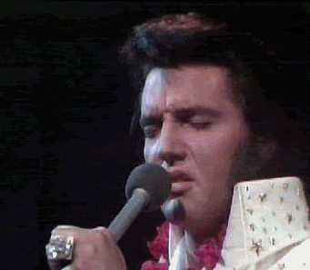 Elvis Presley gif photo: elvis gif e43.gif