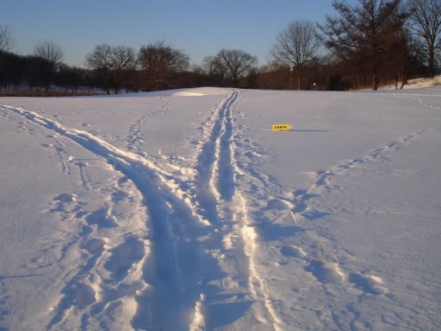 XCSkiing002.jpg