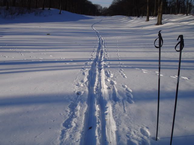 XCSkiing004-1.jpg