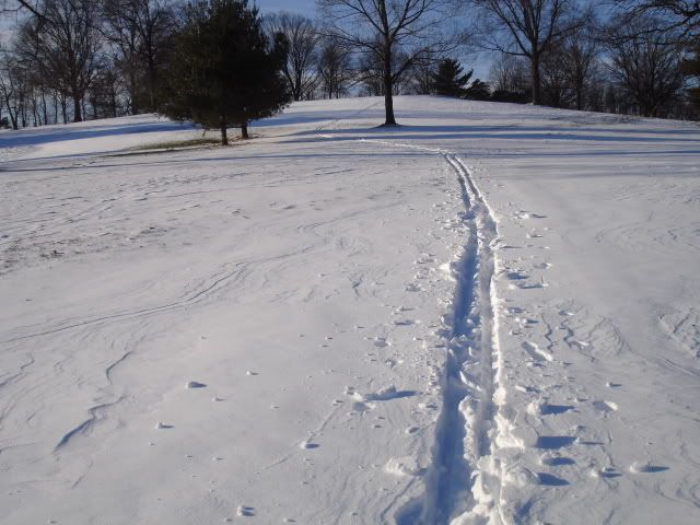 XCSkiing006.jpg