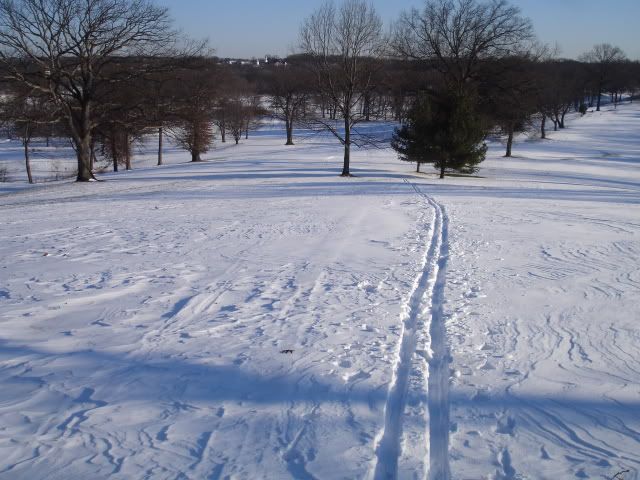 XCSkiing008.jpg
