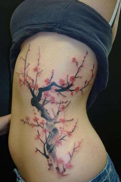 japanese cherry tree drawing. cherry blossom drawing.
