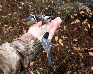 IMAGE: http://i580.photobucket.com/albums/ss243/dbriz/Breakfastclub.jpg