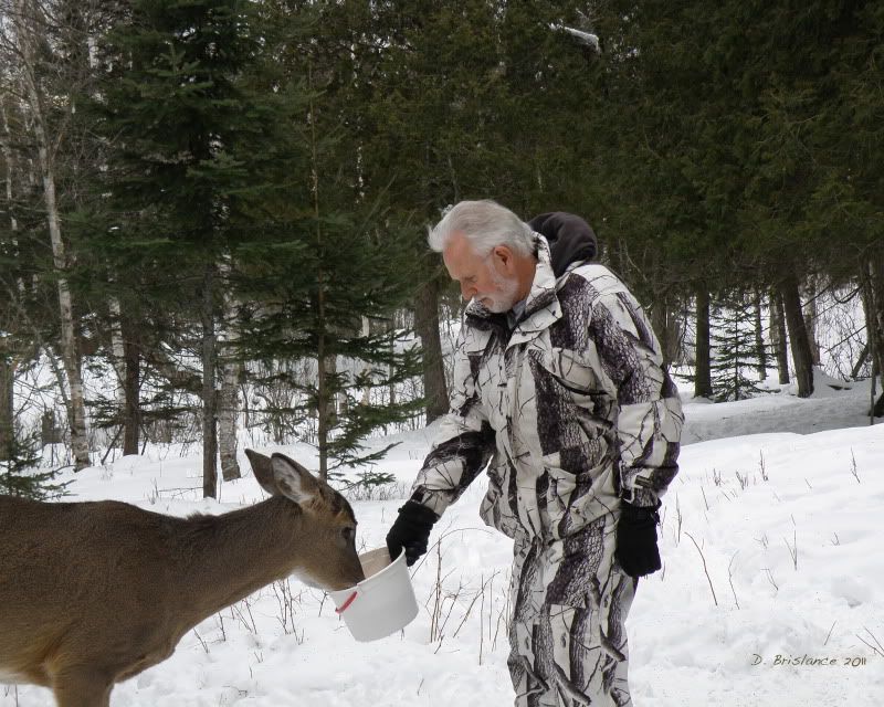 IMAGE: http://i580.photobucket.com/albums/ss243/dbriz/Meandbuck1feb12.jpg