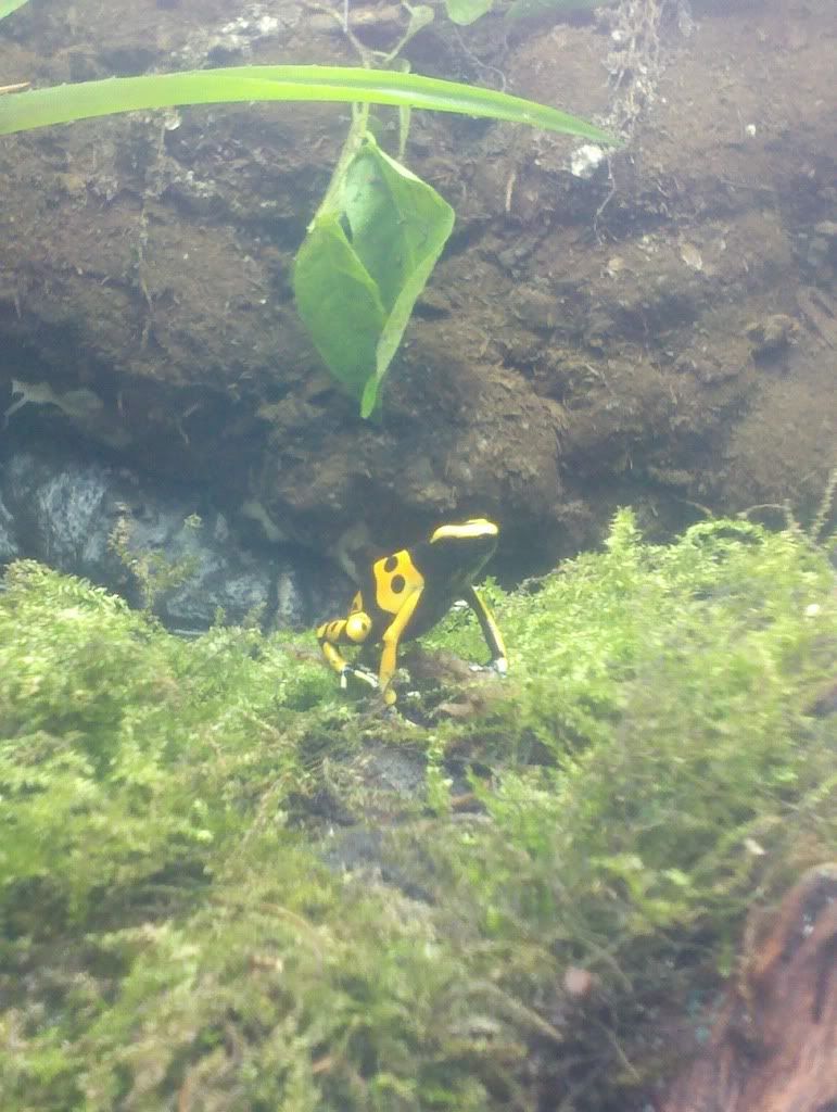 2011-05-22_17-40-35_5791.jpg