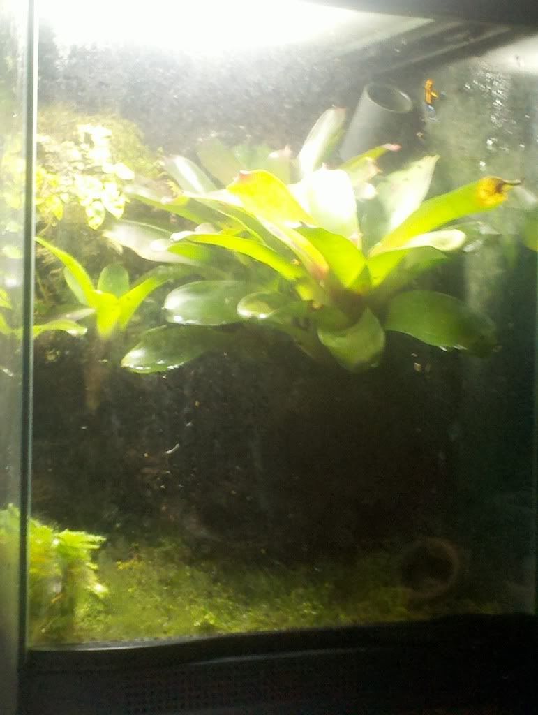 2012-06-03_19-57-14_5111.jpg