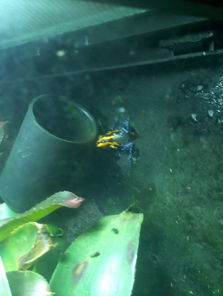 2012-06-03_19-57-24_1601.jpg