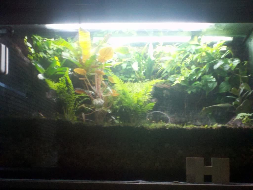 2012-06-03_19-57-58_1951.jpg