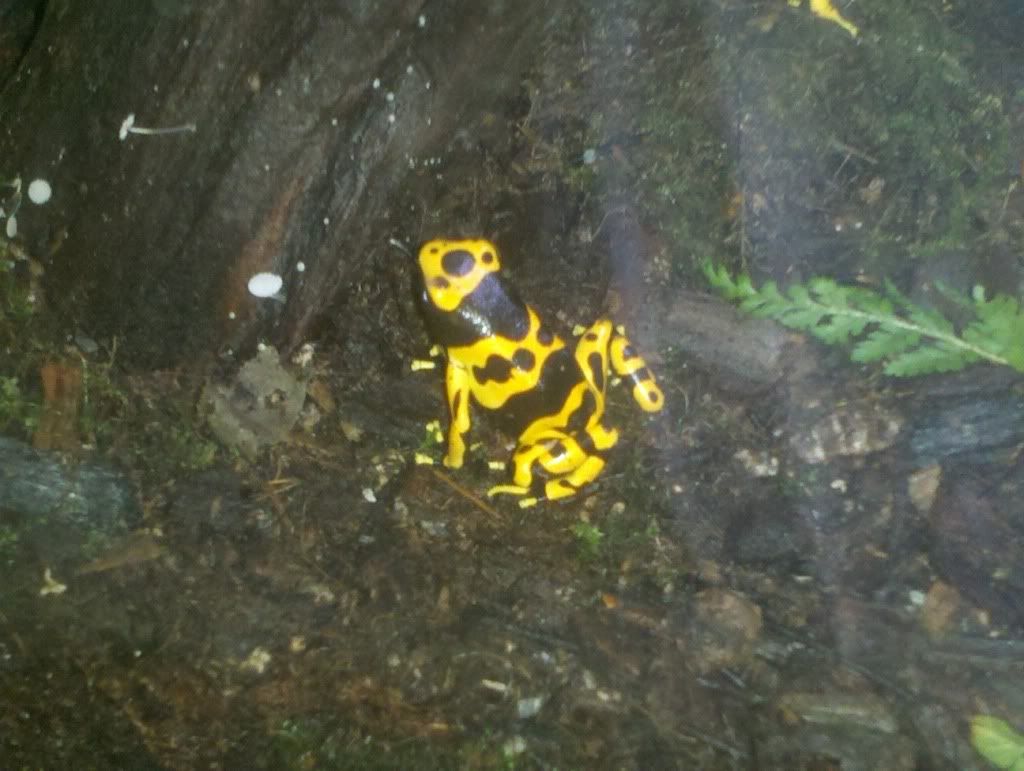 2012-06-03_19-58-08_6771.jpg