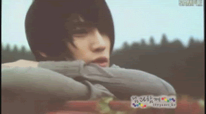 dbsk jaejoong,tvxq