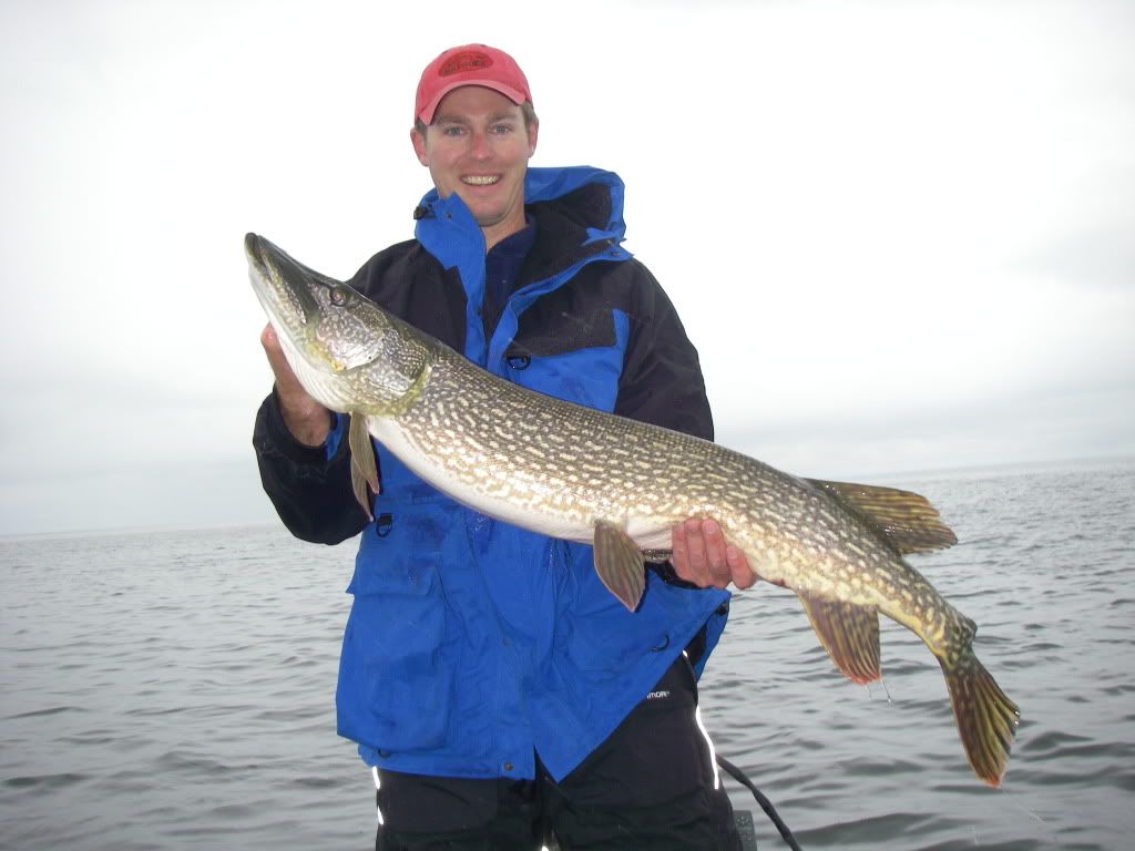Best Pike Lakes in MN Northern Pike Fishing Outdoor ReCreation