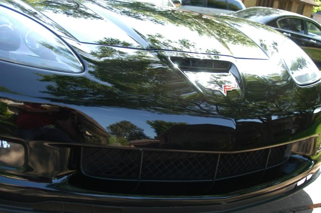 2010_04110141.jpg