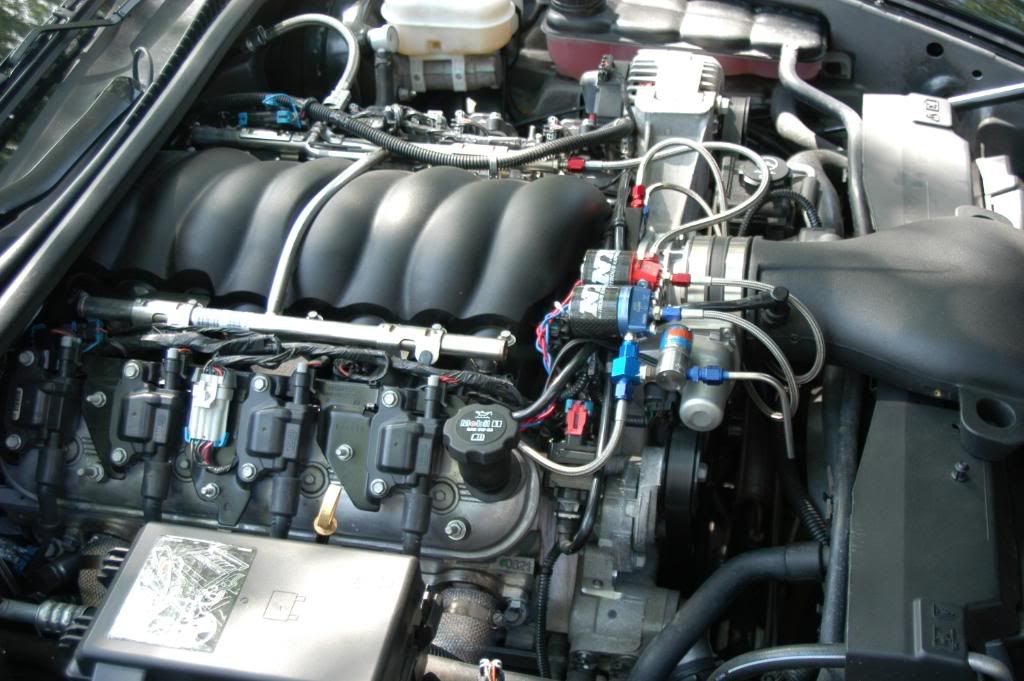 vette5.jpg