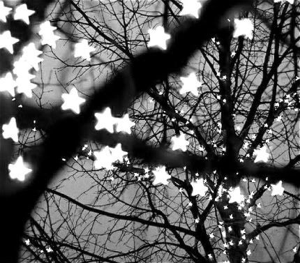 stars1-1.jpg picture by desordre