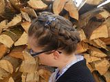 Bild