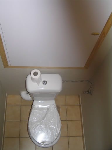 Foto toilet voor blog
