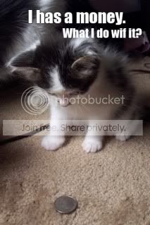 money-cat.jpg