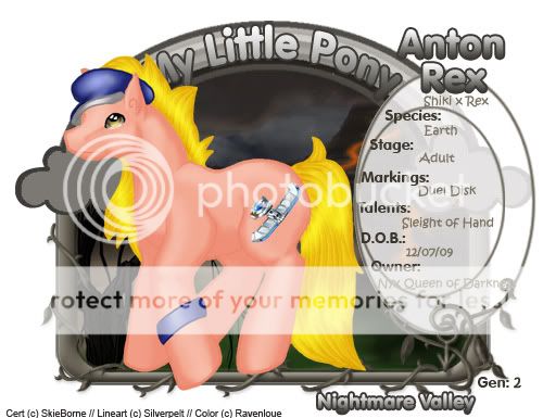 User Image