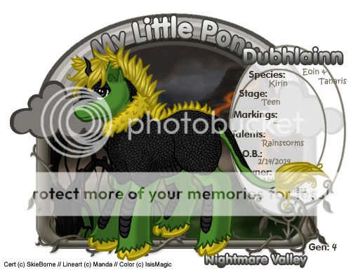 User Image