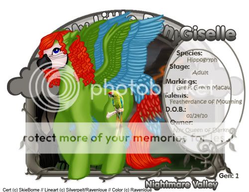 User Image
