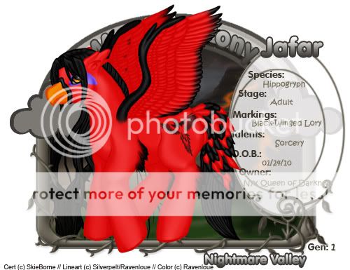 User Image