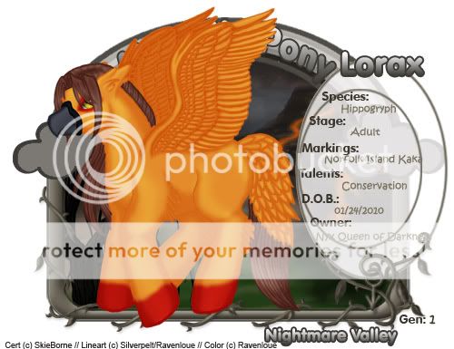 User Image