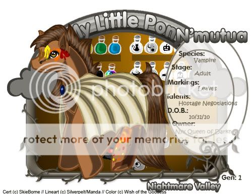 User Image