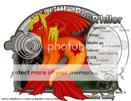 User Image