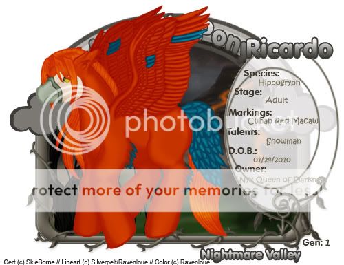 User Image