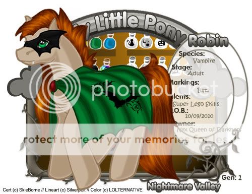 User Image