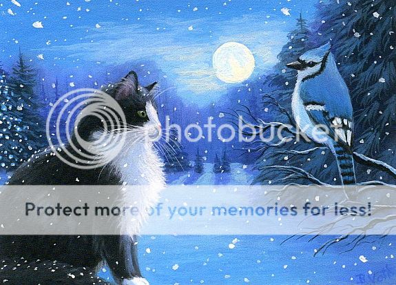 Tuxedo Cat Blue Jay Bird Winter Snow Christmas Moon Original ACEO Painting Art