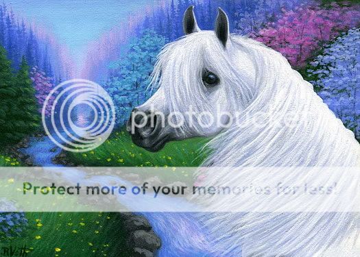 White arabian horse spring stream flowers limited edition aceo print 
