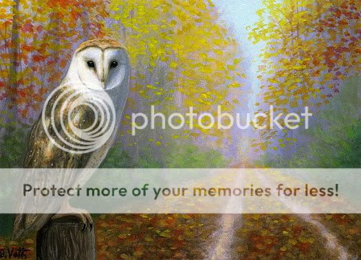 Barn owl autumn road limited edition aceo print art  