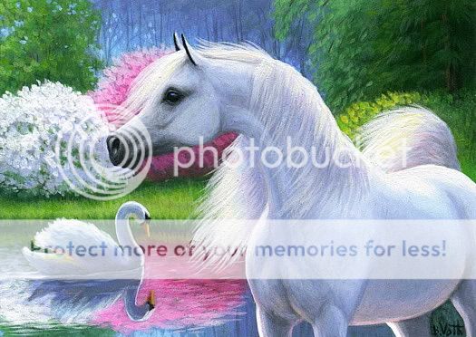 Arabian Horse Swan Spring Lake Flowers Landscape Limited Edition ACEO