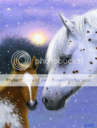 Appaloosa mare foal horse limited edition aceo print  