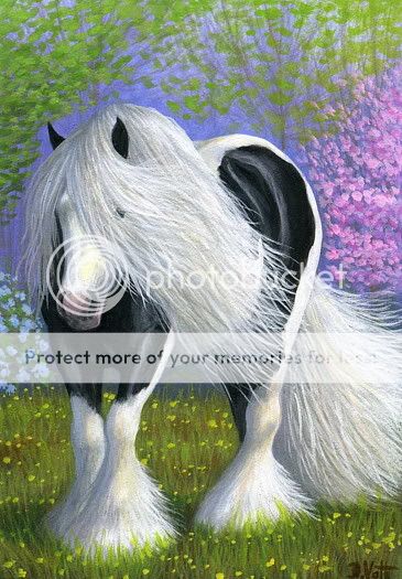 Gypsy horse spring limited edition aceo print art  